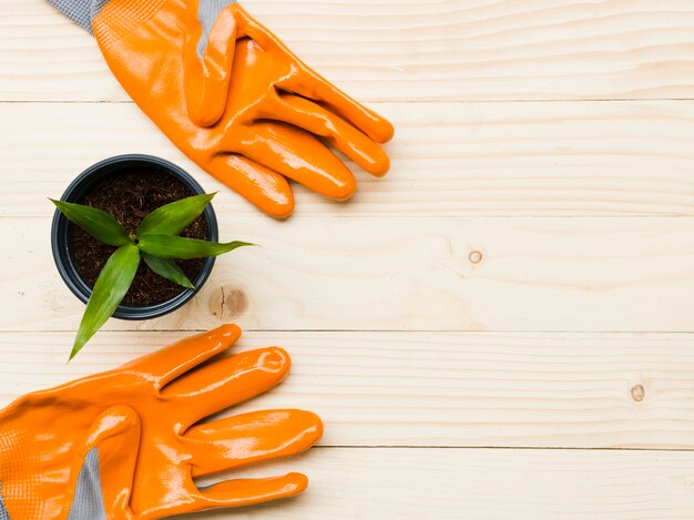 Jakie rękawice należy zakupić do ochrony skóry w trakcie wykonywania pracy?